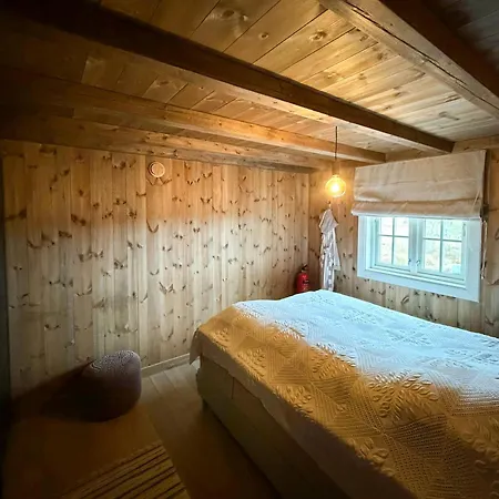 Traditional Log Near Treungen